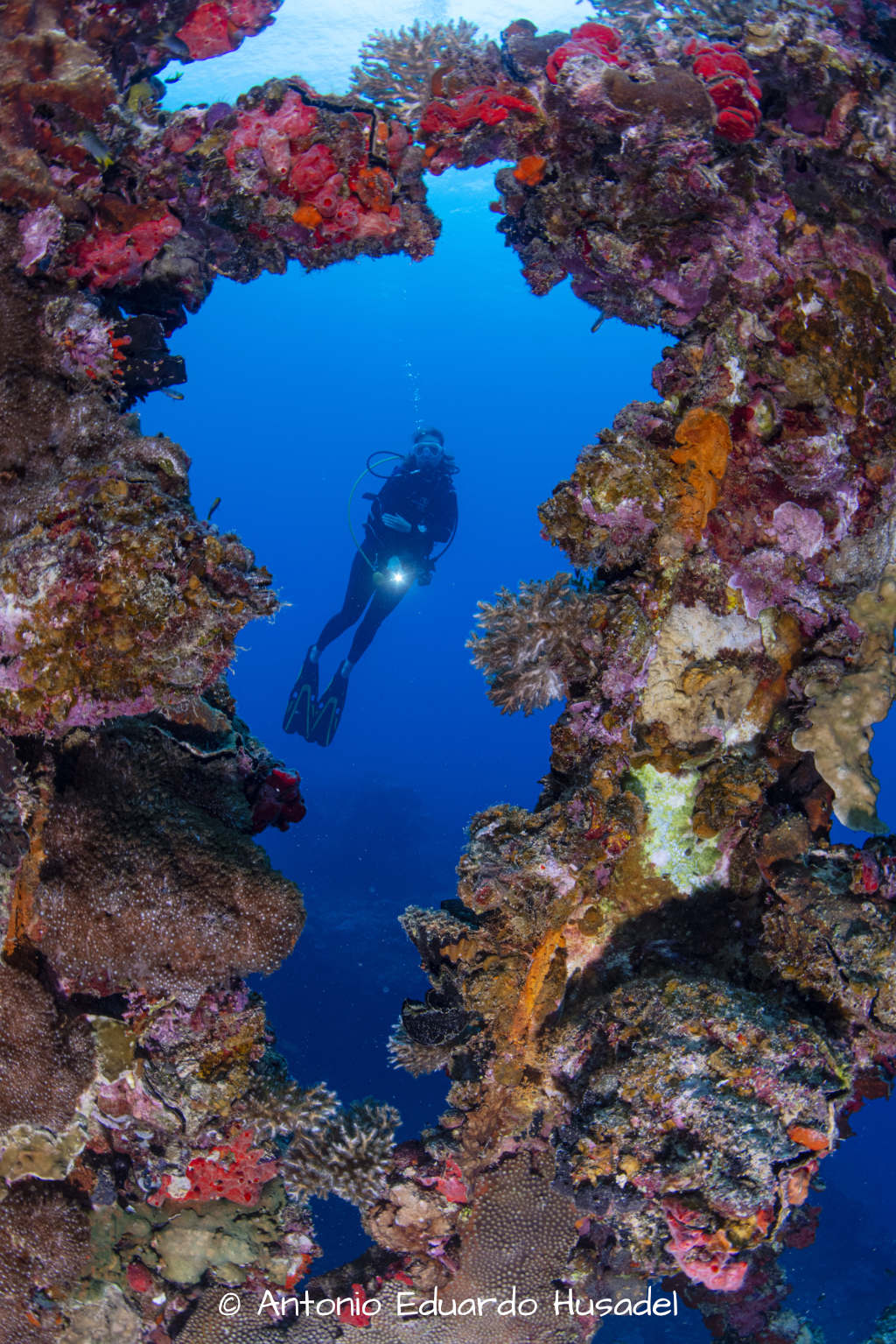 Diver at the wreck of the Iro in Palau