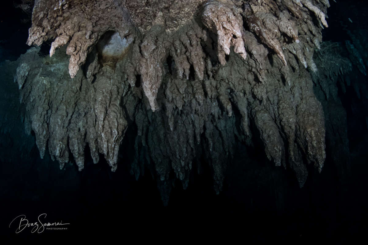 Photo of the stalactites on the ceiling of Chandelier Cave Palau