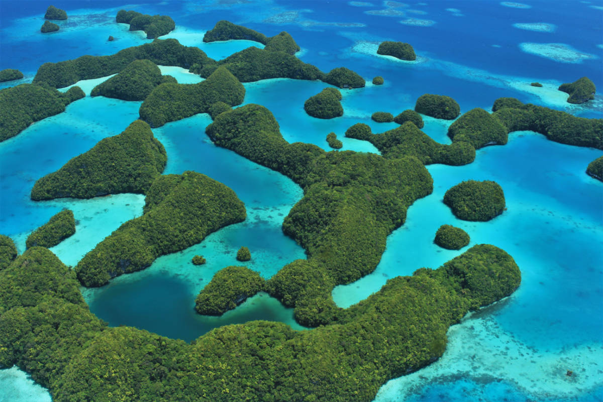 Explore the Rock Islands of Palau